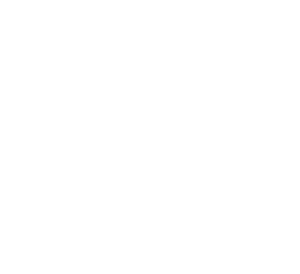 AUSCHITZKY Logo Expert blanc pictogramme